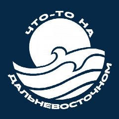 Канал Что-то на дальневосточном в мессенджере MAX — 130 подписчиков