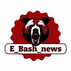Канал E_Bash_news в мессенджере MAX — 776 подписчиков