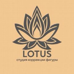 Канал SKF Lotus в мессенджере MAX — 88 подписчиков