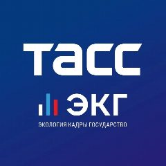 Канал ТАСС / ЭКГ-Рейтинг в мессенджере MAX — 3 483 подписчика