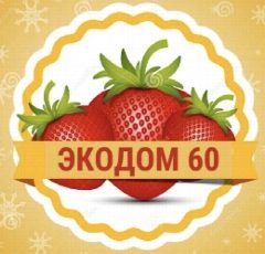 Канал Клубника Малина САЖЕНЦЫ «ЭКОДОМ 60» в мессенджере MAX — 237 подписчиков
