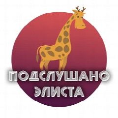 Канал Элиста в мессенджере MAX — 1 312 подписчиков