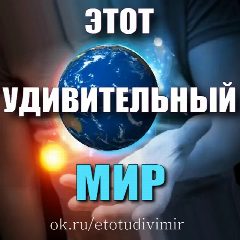 Канал Этот удивительный Мир в мессенджере MAX — 2 936 подписчиков