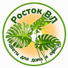 Канал 🌱РостокВл🌱 Магазин-Галерея комнатных растений в мессенджере MAX — 1 087 подписчиков
