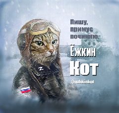 Канал Ёжкин кот в мессенджере MAX — 2 806 подписчиков