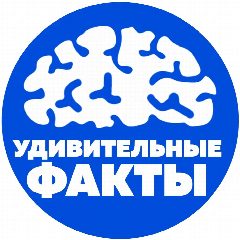 Канал Наука | Удивительные Факты в мессенджере MAX — 58 подписчиков