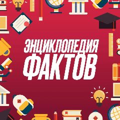 Канал Энциклопедия фактов в мессенджере MAX — 2 869 подписчиков