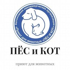 Канал Приют Пес и Кот Южно-Сахалинск в мессенджере MAX — 688 подписчиков