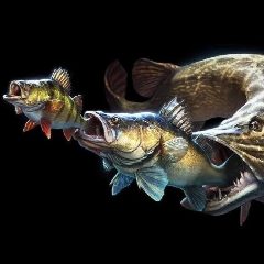 Канал Рыбалка - "Fish fear me" в мессенджере MAX — 3 736 подписчиков