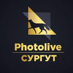 Канал Photolive Сургут в мессенджере MAX — 24 подписчика