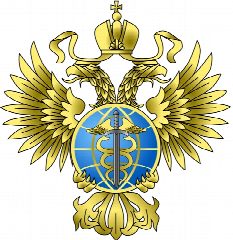 Канал ФСВТС России в мессенджере MAX — 96 подписчиков