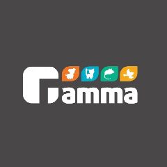 Канал Gamma в мессенджере MAX — 118 подписчиков