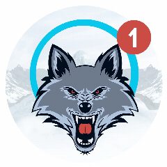 Канал Биржа Волкова. Купить канал /продать канал Макс в мессенджере MAX — 186 подписчиков