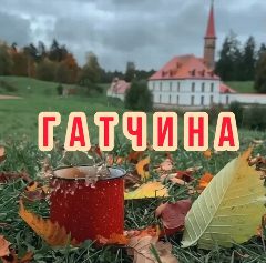 Канал Гатчина в мессенджере MAX — 1 689 подписчиков