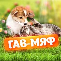 Канал ГАВ - МЯФ в мессенджере MAX — 514 подписчиков