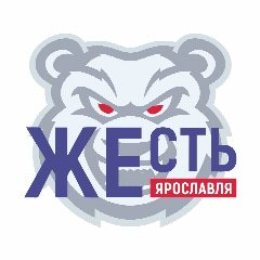 Канал Жесть Ярославль в мессенджере MAX — 64 467 подписчиков