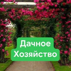Канал Дачное хозяйство в мессенджере MAX — 1 273 подписчика