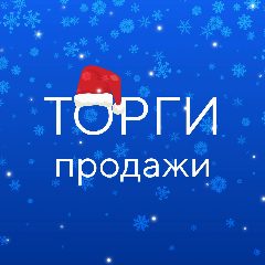 Канал ГИС ТОРГИ ПРОДАЖИ в мессенджере MAX — 2 621 подписчик