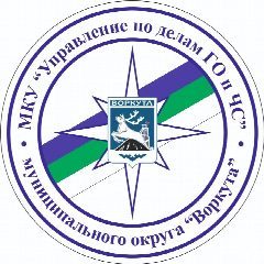 Канал Управление по делам ГО и ЧС г. Воркута в мессенджере MAX — 1 019 подписчиков