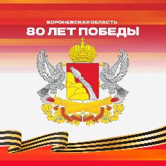 Канал Воронежская область в мессенджере MAX — 4 816 подписчиков