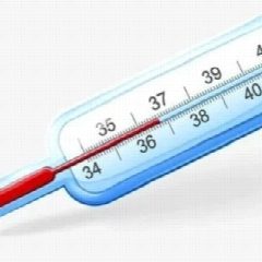 Канал Градусник в мессенджере MAX — 605 подписчиков