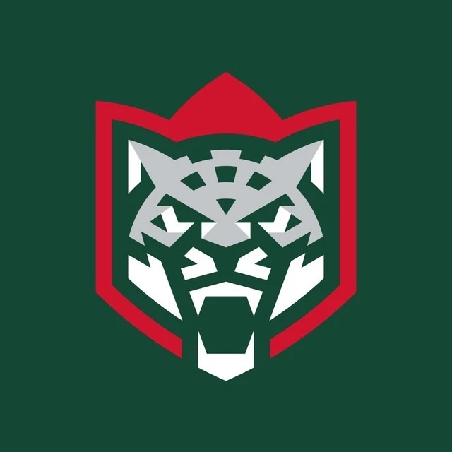 Канал ХК «Ак Барс» в мессенджере MAX — 12 915 подписчиков