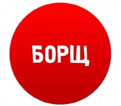 Канал БОРЩ в мессенджере MAX — 2 061 подписчик