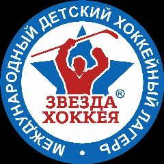 Канал Звезда хоккея в мессенджере MAX — 165 подписчиков