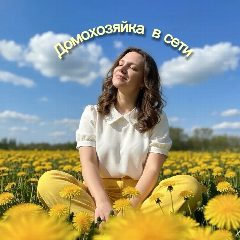 Канал Домохозяйка в сети в мессенджере MAX — 161 подписчик