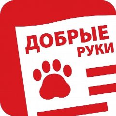 Канал В добрые руки • Комсомольск-на-Амуре в мессенджере MAX — 356 подписчиков