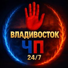 Канал Владивосток ЧП в мессенджере MAX — 3 184 подписчика