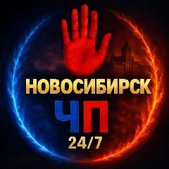 Канал Новосибирск ЧП в мессенджере MAX — 3 774 подписчика