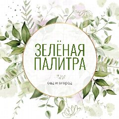 Канал Зелёная палитра / сад, дача, огород в мессенджере MAX — 1 618 подписчиков