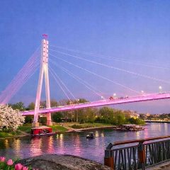 Канал Добрые новости. Тюмень и область в мессенджере MAX — 1 379 подписчиков