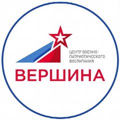 Канал Центр «Вершина» в мессенджере MAX — 832 подписчика
