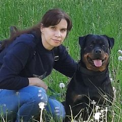 Канал Коза Дереза 63pokupki.ru в мессенджере MAX — 198 подписчиков