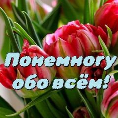 Канал Понемногу обо всём! в мессенджере MAX — 632 подписчика