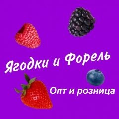 Канал Форель, Икра, морепродукты, ягоды в мессенджере MAX — 1 291 подписчик