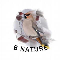 Канал B Nature | Даниил Маликов в мессенджере MAX — 65 подписчиков
