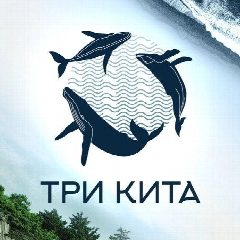 Канал Три кита - всесезонный кемпинг на Кунашире в мессенджере MAX — 88 подписчиков