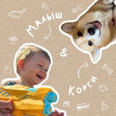 Канал Малыш и корги в мессенджере MAX — 2 034 подписчика