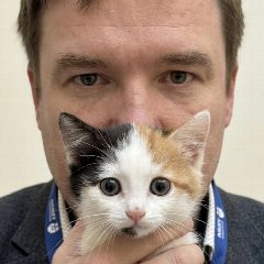 Канал Евгений Моисеев: код, SWOT и кот в мессенджере MAX — 154 подписчика
