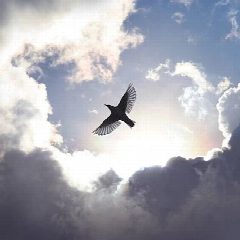 Канал Со смыслом в мессенджере MAX — 1 012 подписчиков