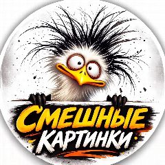 Канал Смешные картинки в мессенджере MAX — 75 681 подписчик