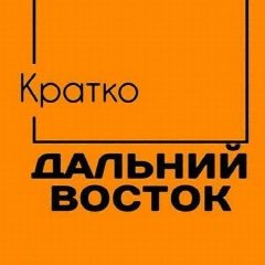 Канал Дальний Восток. КРАТКО в мессенджере MAX — 1 420 подписчиков