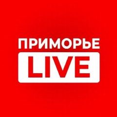 Канал ПРИМОРЬЕ LIVE в мессенджере MAX — 621 подписчик