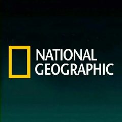 Канал National Geographic в мессенджере MAX — 41 942 подписчика