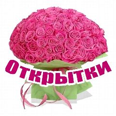 Канал Открытки и Поздравления в мессенджере MAX — 59 531 подписчик
