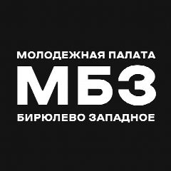 Канал Молодёжная палата Бирюлёво Западное в мессенджере MAX — 31 подписчик