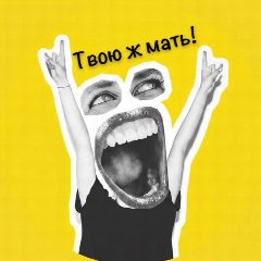 Канал Твою ж мать! в мессенджере MAX — 602 подписчика